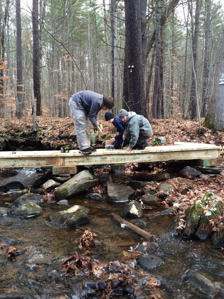 Building a Park Bridge