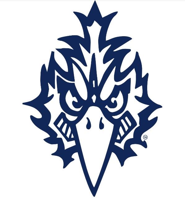 Screenshot of face only