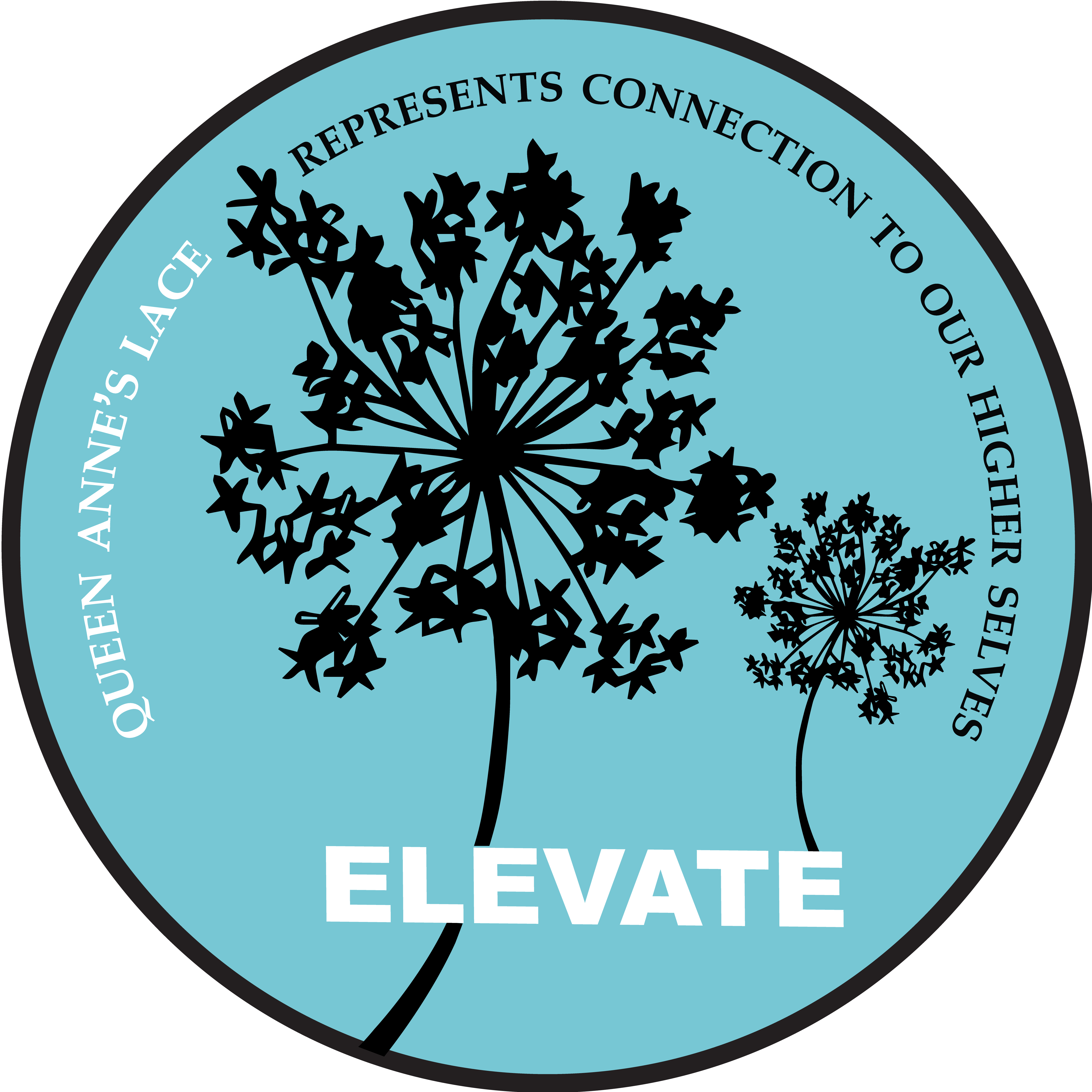 6-Elevate